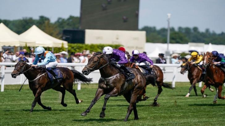 Valiant Force winning at Royal Ascot